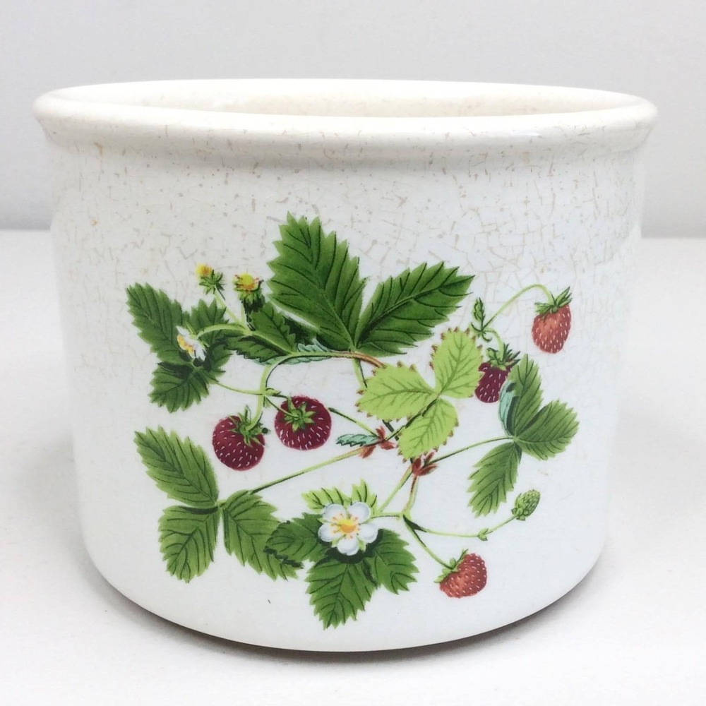 Portmeirion Summer Strawberries Planter Pot England Crock Bowl